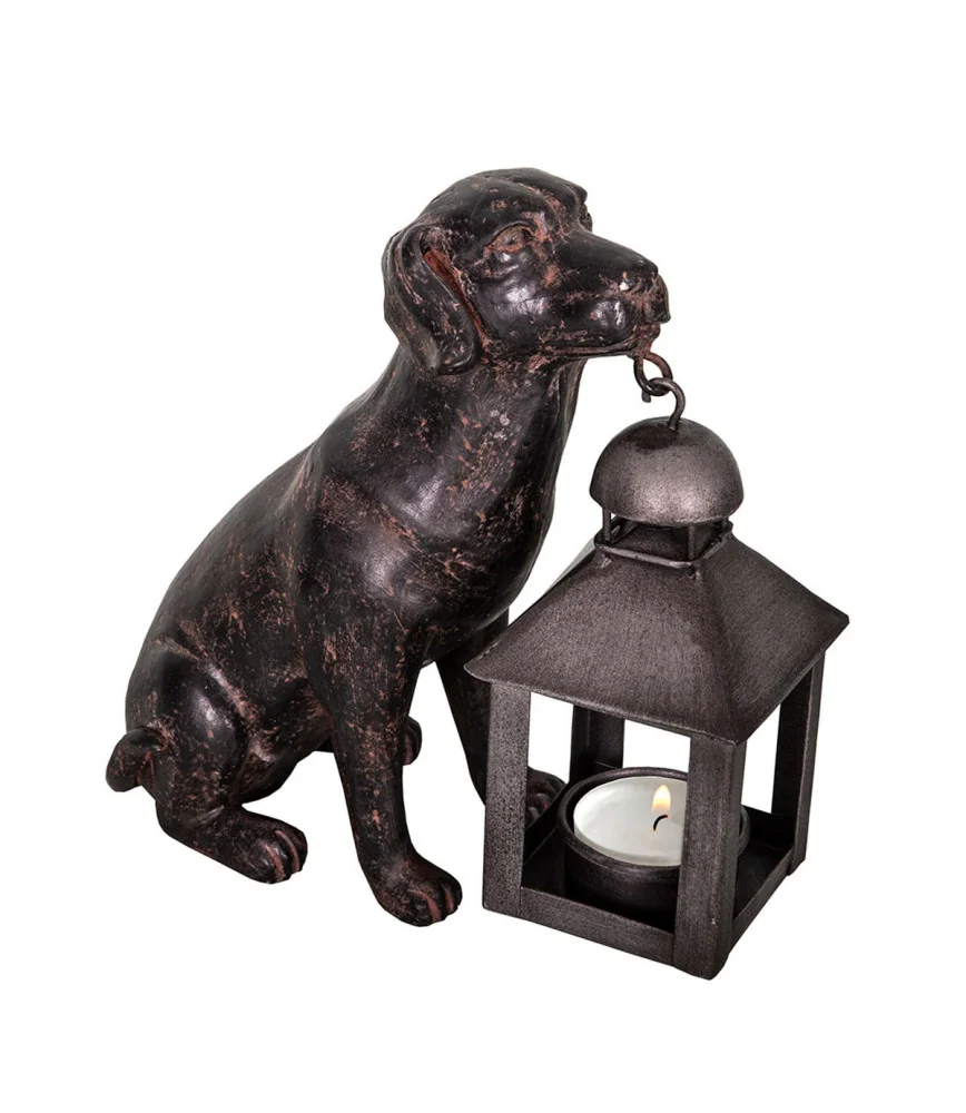 Chien avec lanterne
