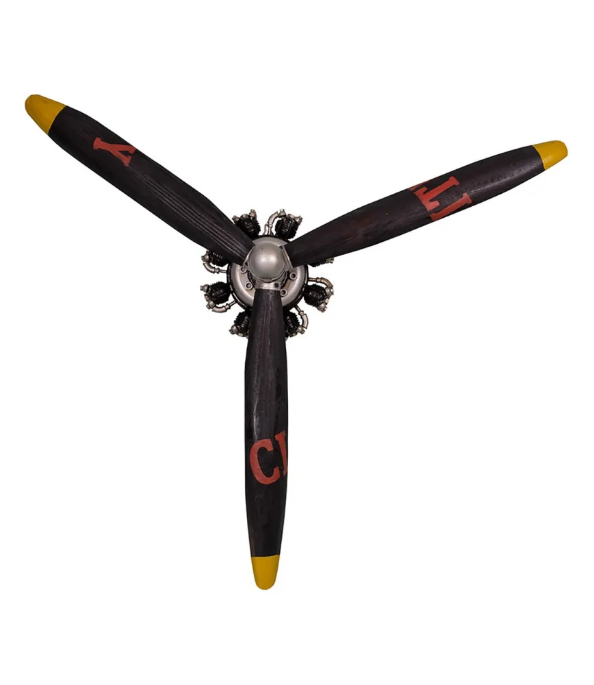 Hélice avion